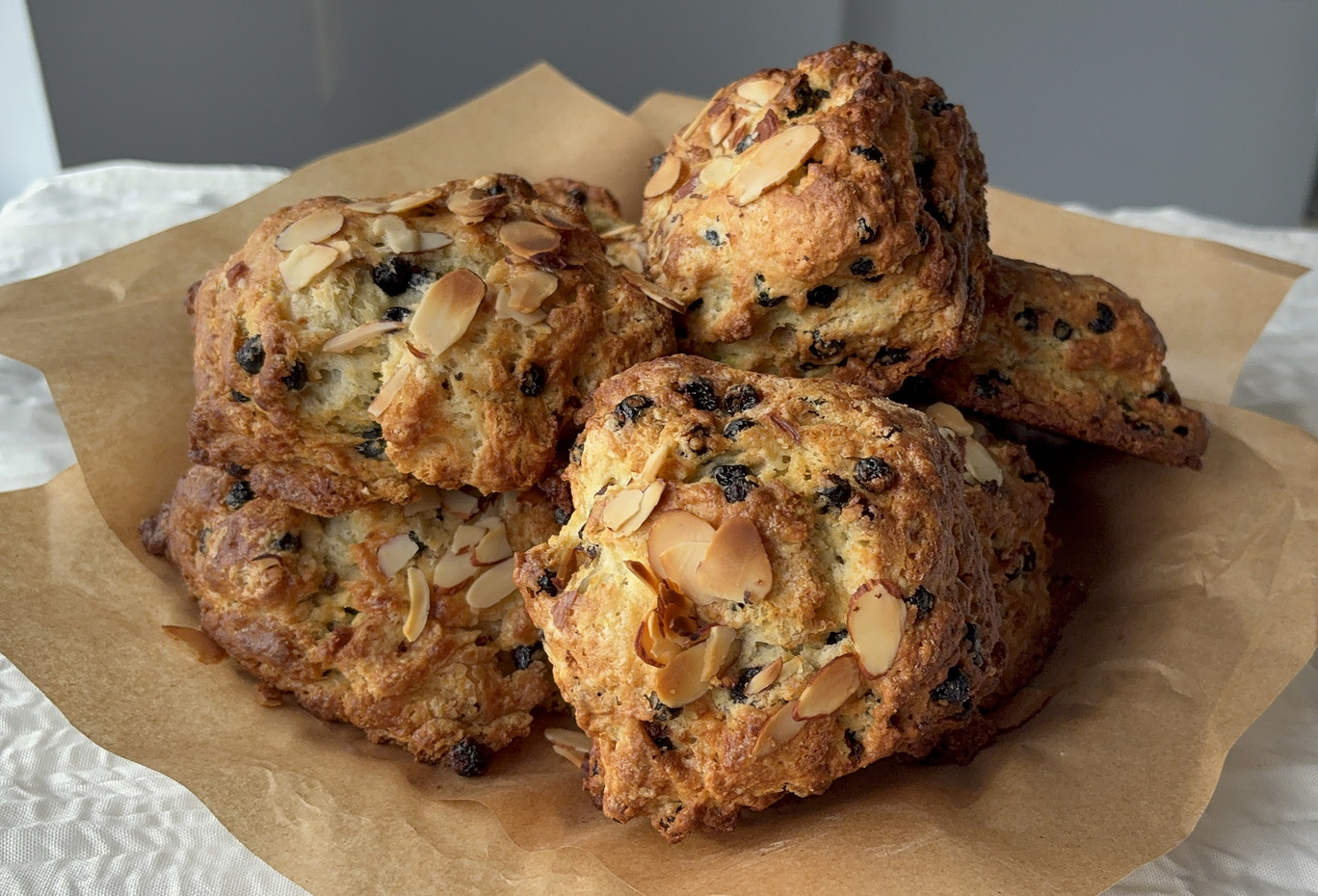 Lemon Blueberry Biscones on parchment paper