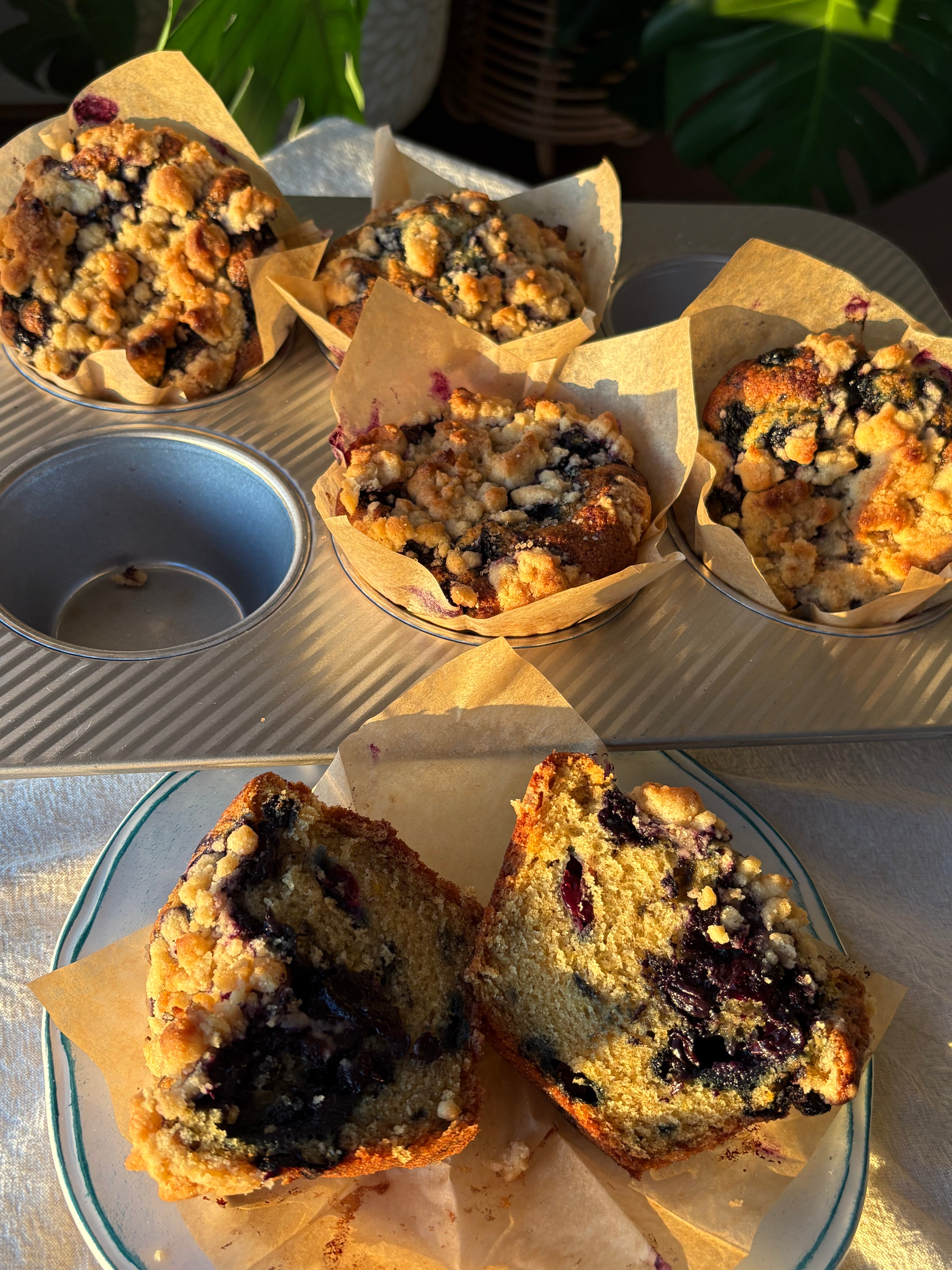 Blueberry Jumbo Muffins