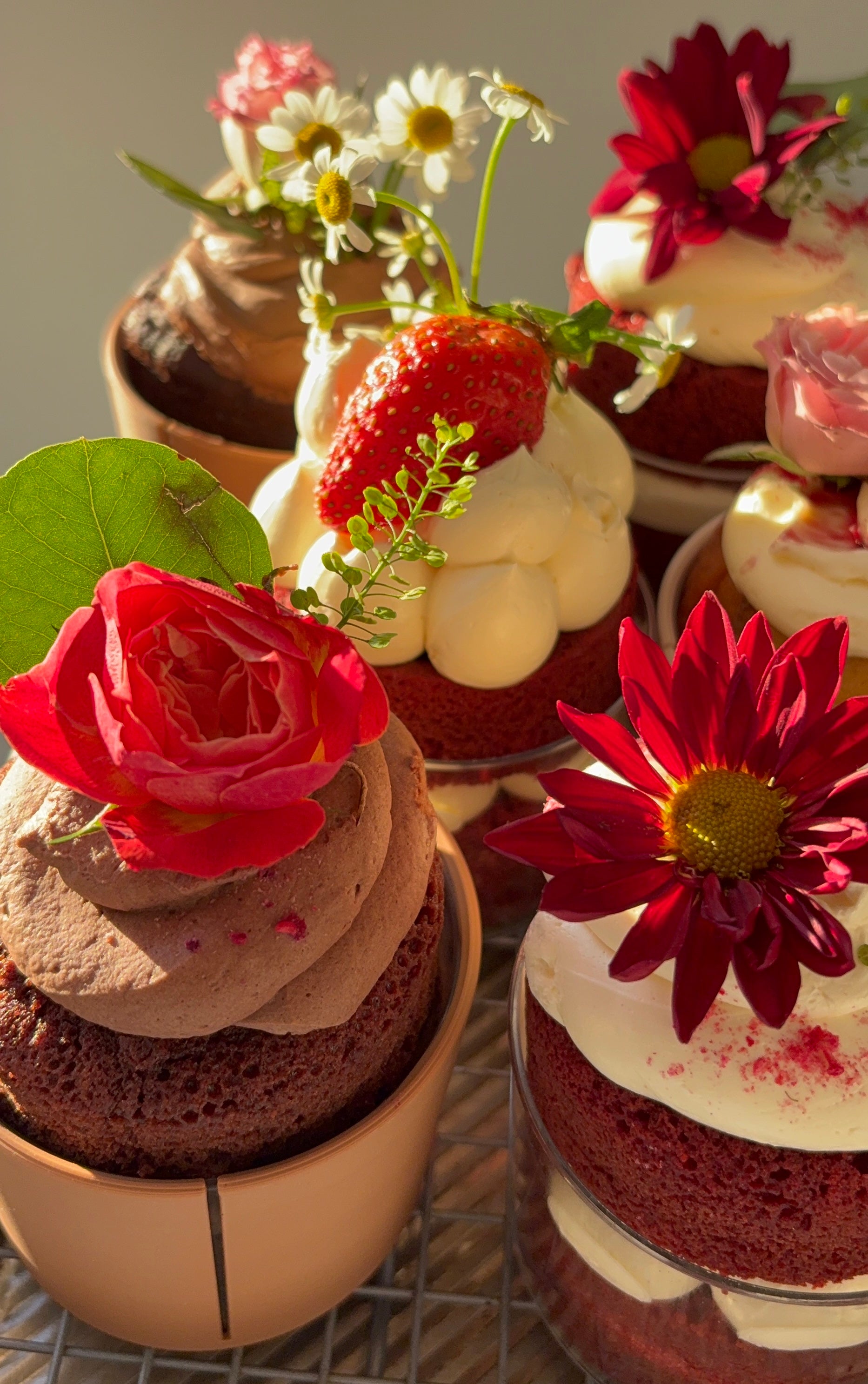 Espresso Chocolate Mini Cake With Chocolate Mascarpone Cream