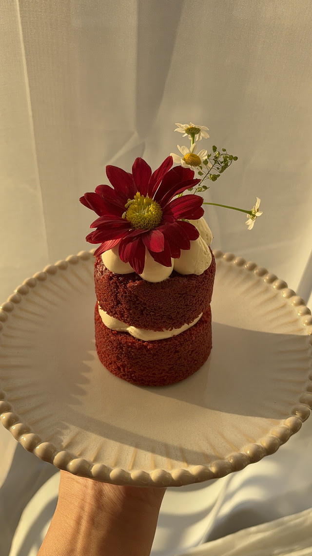 Valentine’s Day red velvet mini cake