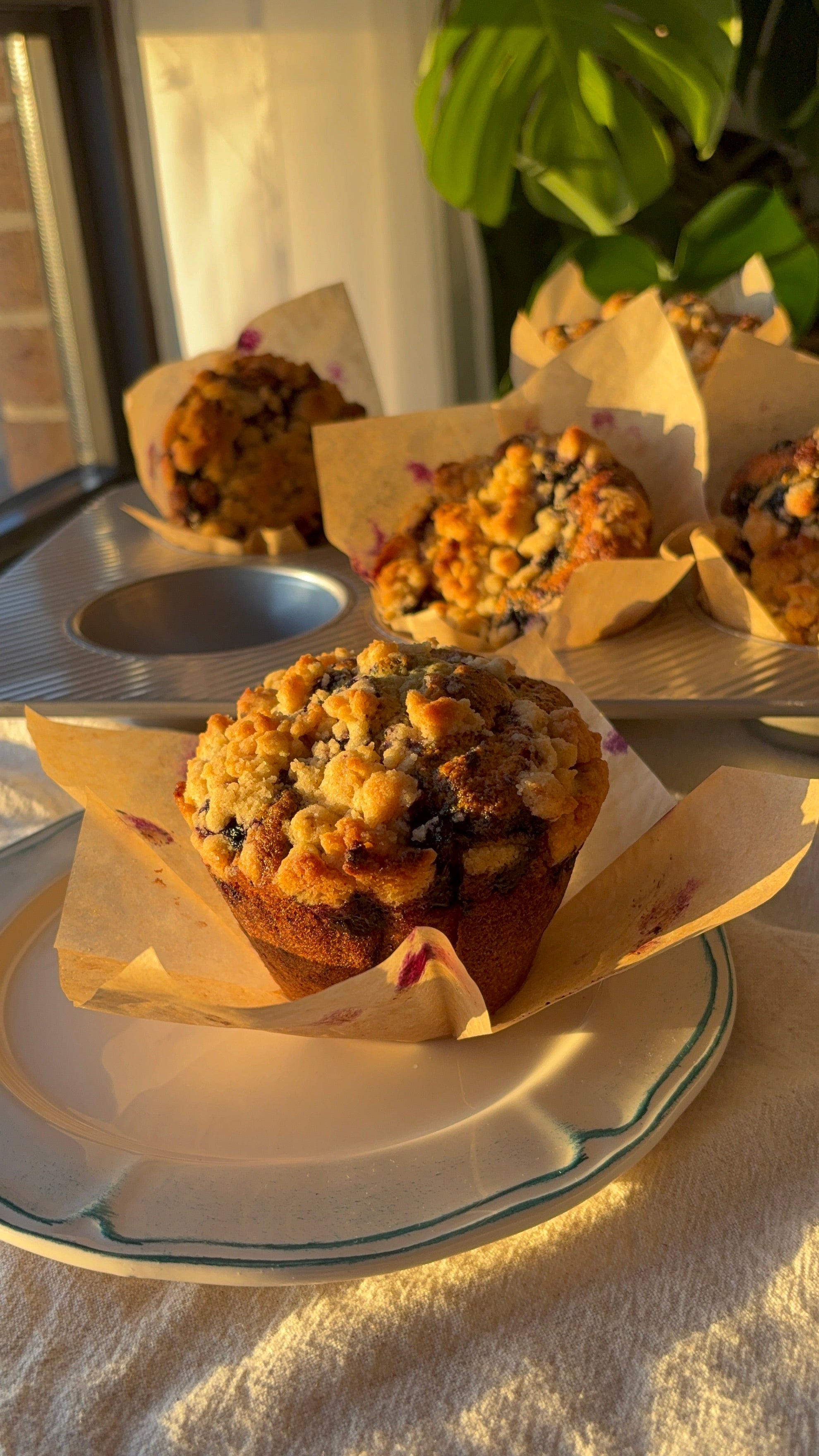 gourmet blueberry muffins on a tray